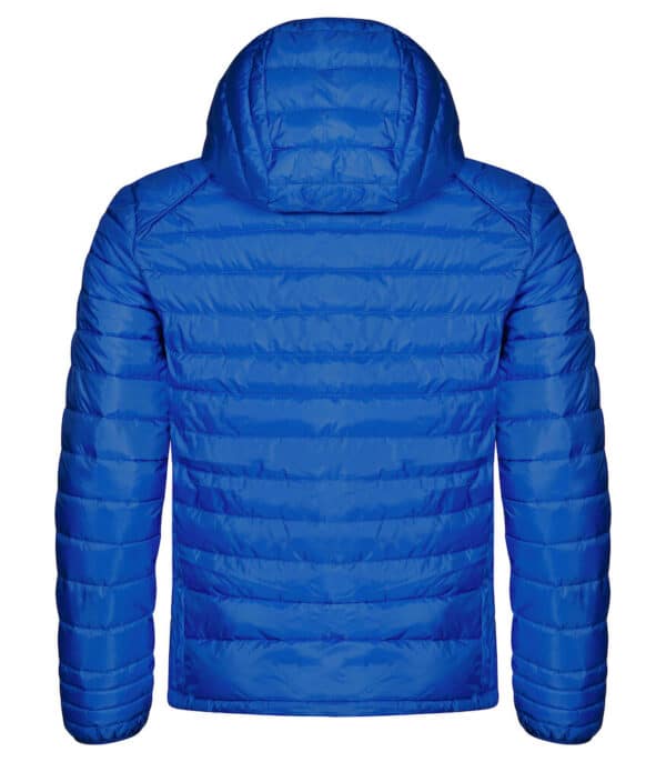 020976 55 hudson royalblue back