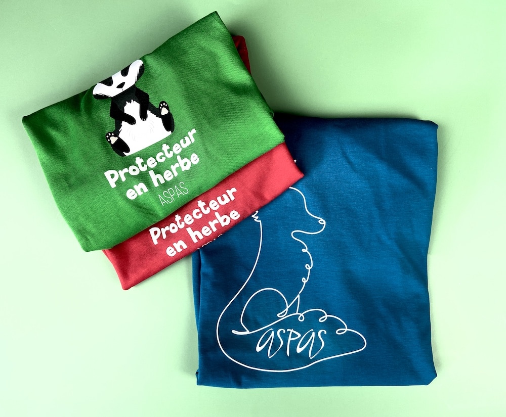 aspas asso tee shirt sérigraphie14