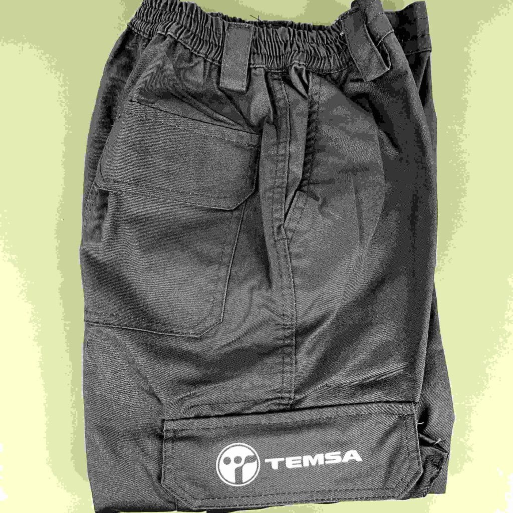 Temsa
