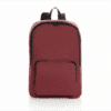 le sac à dos pliable beginner